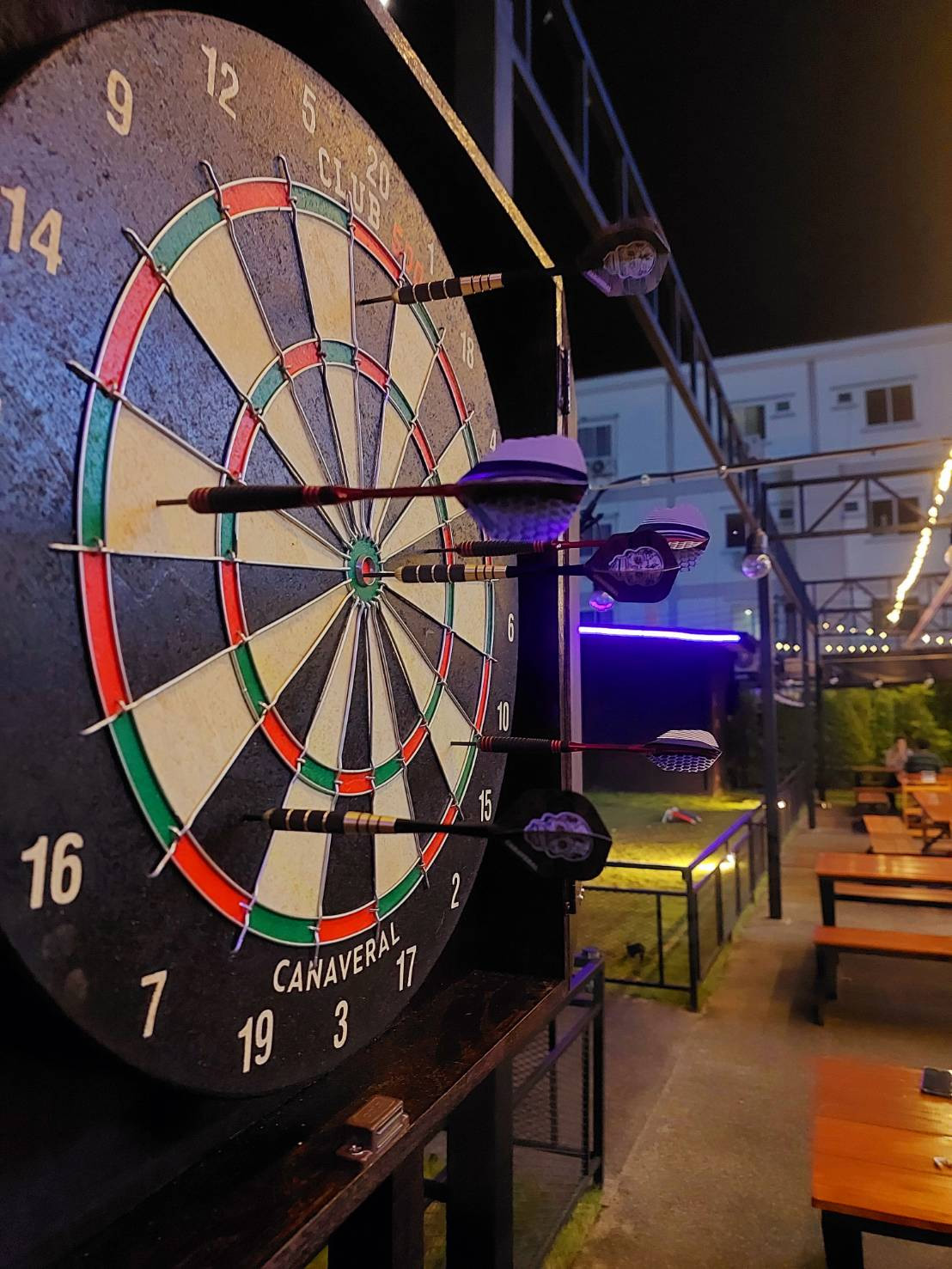 Outdoor darts